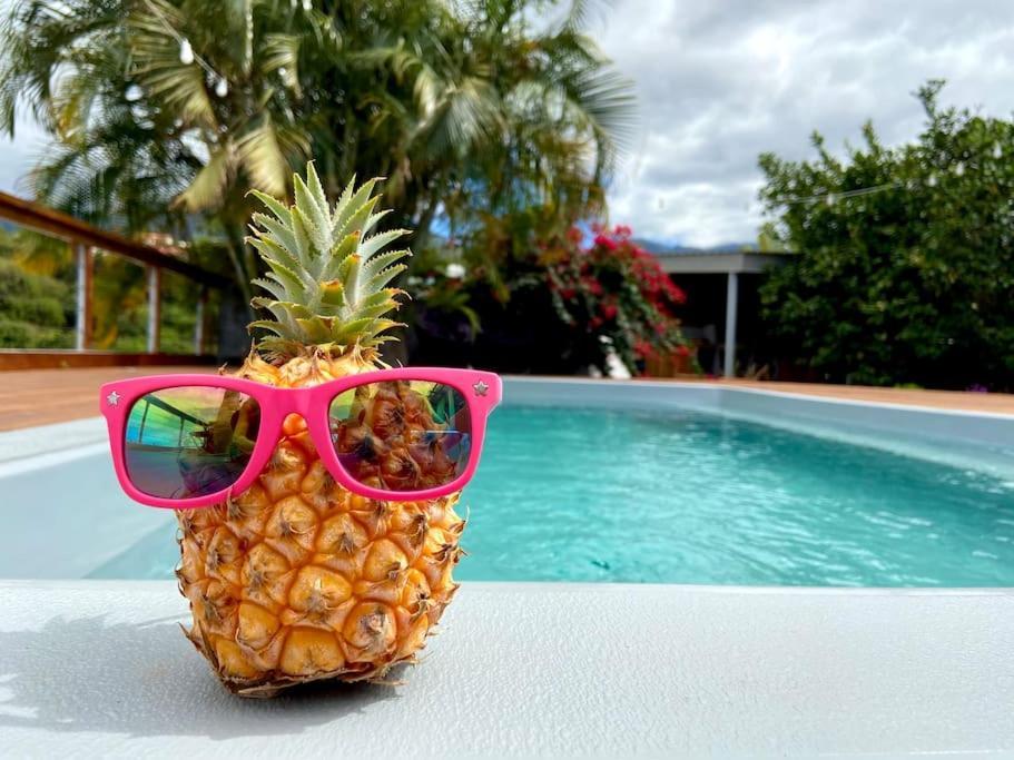 Cocooning Tropic Studio Avec Jacuzzi Privatif Saint-Louis Kültér fotó