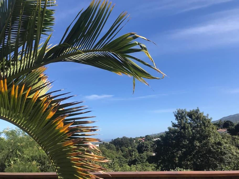Cocooning Tropic Studio Avec Jacuzzi Privatif Saint-Louis Kültér fotó